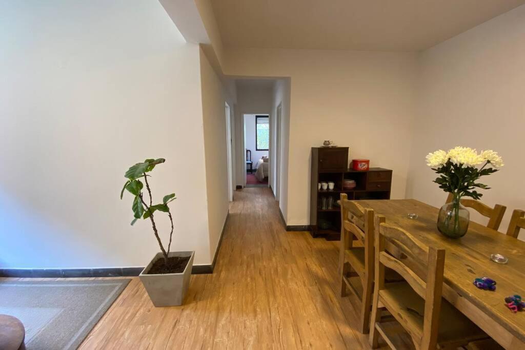 Departamento Centrico A Metros De Plaza Belgrano Appartement San Salvador de Jujuy Buitenkant foto